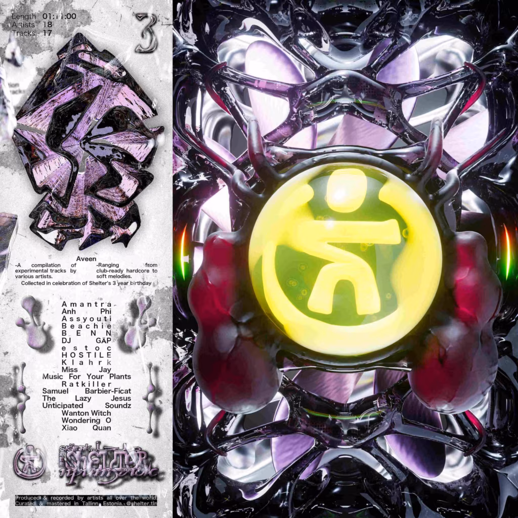 Erinevad esitajad &ndash; Aveen&nbsp;(Shelter, 2025)