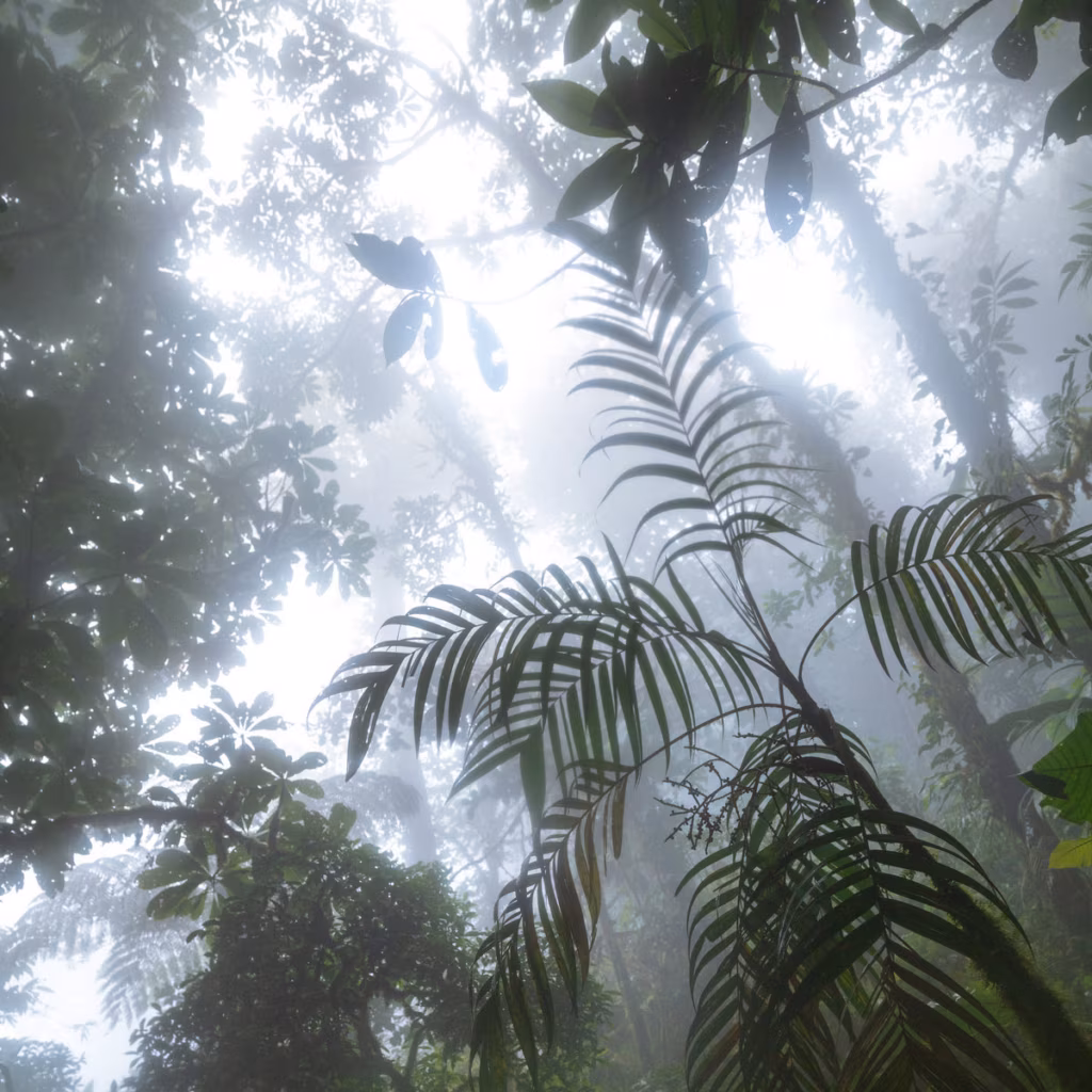 Lauri Lest &ndash; Undercurrents (2025)