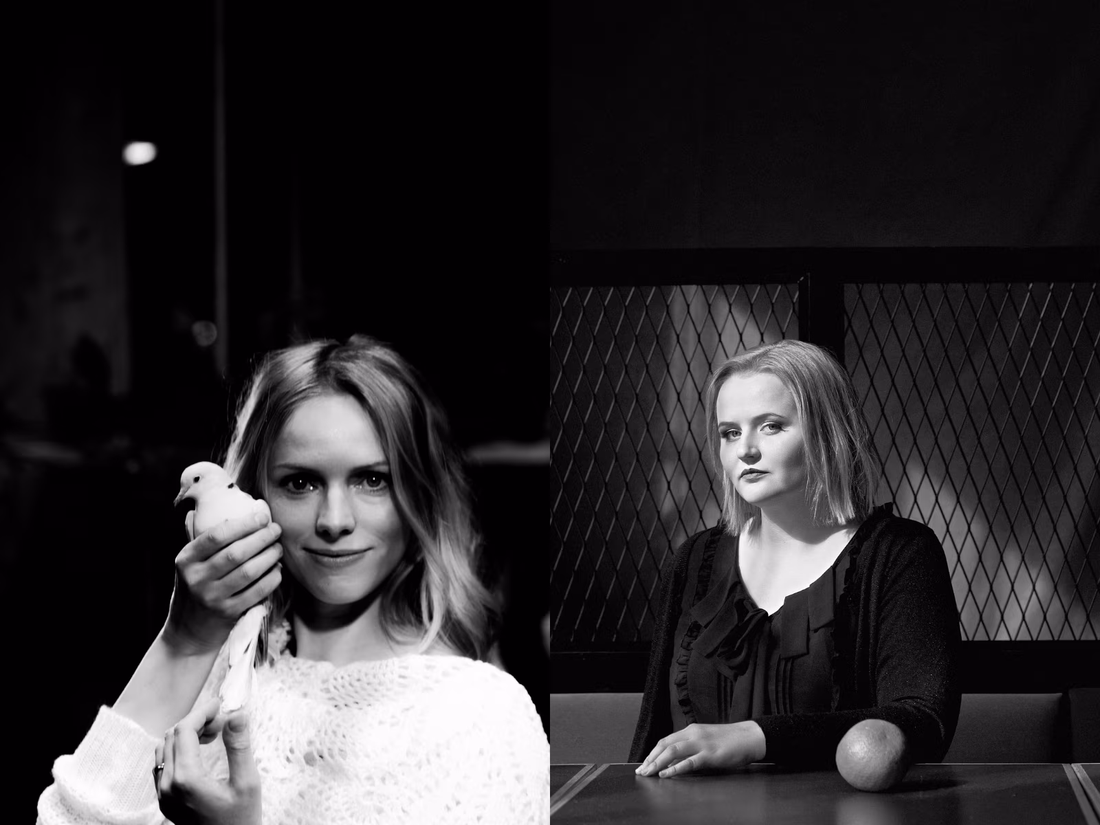 Naised ja asjad. 21. sajandi (feministlikust) olmeromaanist