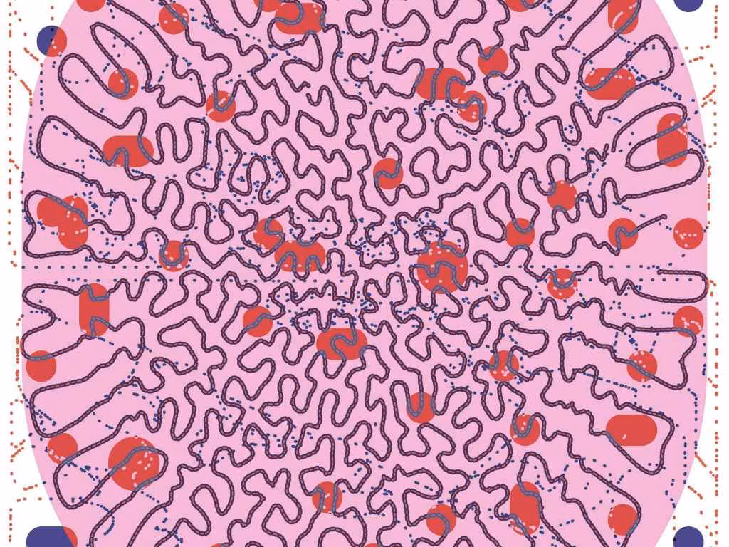 Käsi (p)aitab kätt